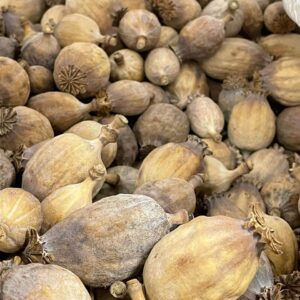 Dried poppy pods usa